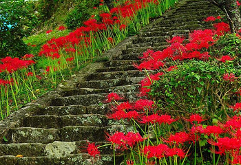 南华山神凤文化景区第 28 张图片