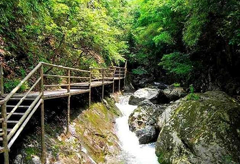 天目山自然保护区第 29 张图片