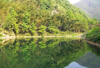 四明山国家森林公园第 2 张图片