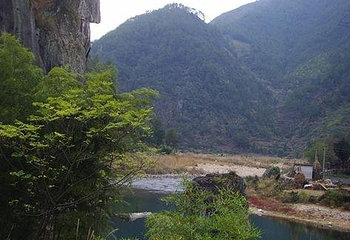 箬寮原始林第 5 张图片