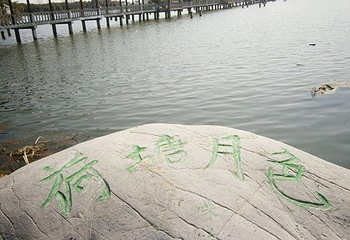 金龟岛渔村第 5 张图片