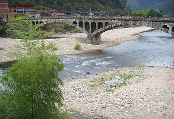 箬寮原始林第 4 张图片