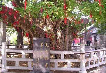 浮来山风景区第 17 张图片