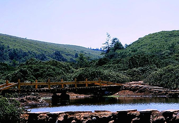 格萨拉生态旅游区第 49 张图片