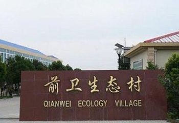 前卫村第 13 张图片