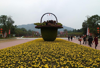 漳州东南花都第 29 张图片