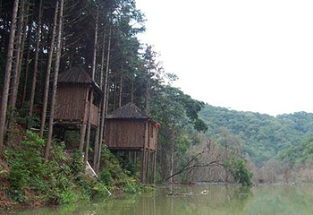 牛姆林生态旅游区第 40 张图片
