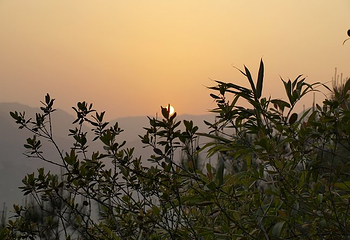 青芝山风景区第 5 张图片