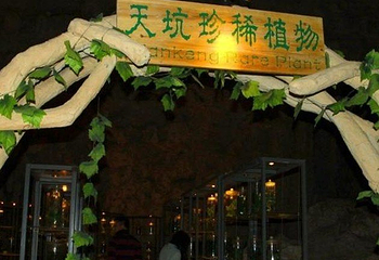 穿洞天坑第 9 张图片