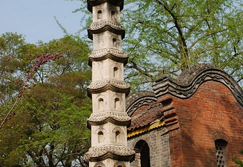 尤家花园第 13 张图片