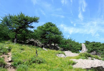 仙峰国家森林公园第 1 张图片