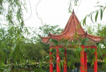 日照文山茶博园第 5 张图片