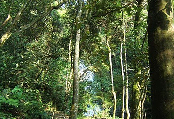 桂林红溪大峡谷第 24 张图片