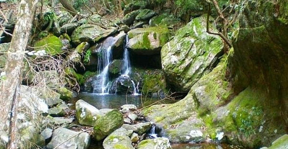 三爪仑观音岩景区