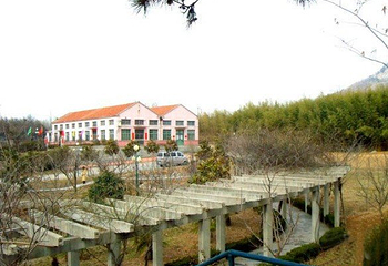 日照文山茶博园第 3 张图片