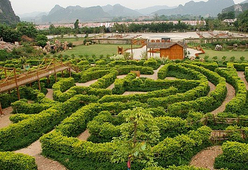 花花大世界第 2 张图片