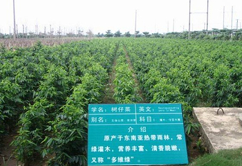 北海现代生态农业观光园第 3 张图片