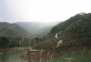 白鹤观竹海旅游度假区第 5 张图片