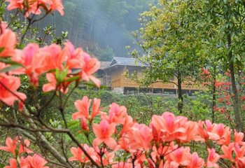 龙宝大峡谷第 6 张图片