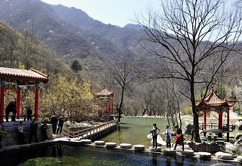 西峡银树沟生态旅游区第 3 张图片