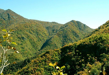 野三坡百草畔景区第 14 张图片