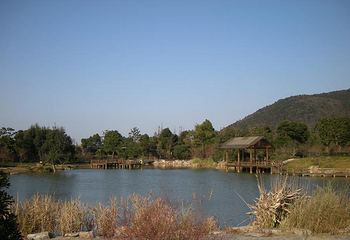 宝岩生态观光园第 12 张图片