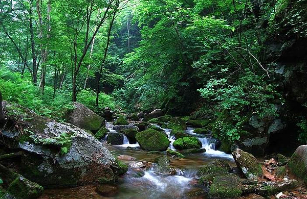 【电子票-自动出票!】关门山大峡谷门票