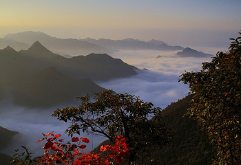 塔云山景区第 4 张图片