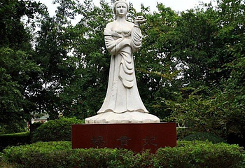 贵妃园第 6 张图片