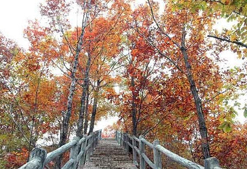 蟠桃山第 5 张图片
