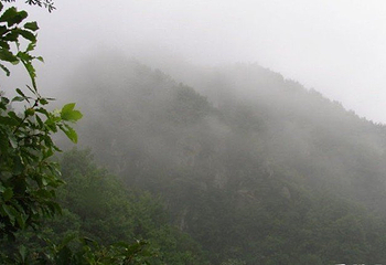 蟠桃山第 6 张图片