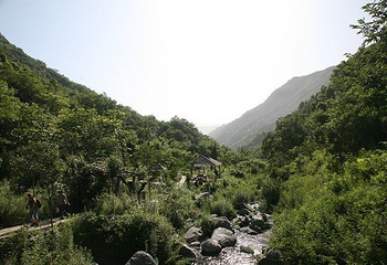 柞水九天山第 4 张图片