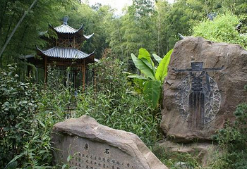 大阳山国家森林公园第 26 张图片