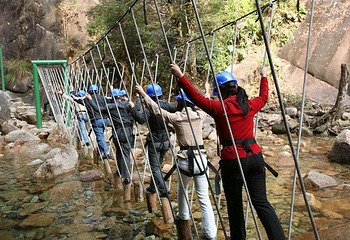 武夷山国家森林公园第 7 张图片