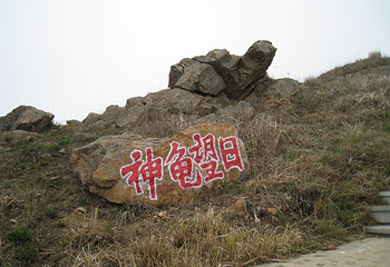 黑岛第 17 张图片