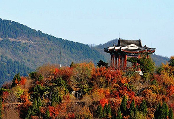 照金香山第 12 张图片