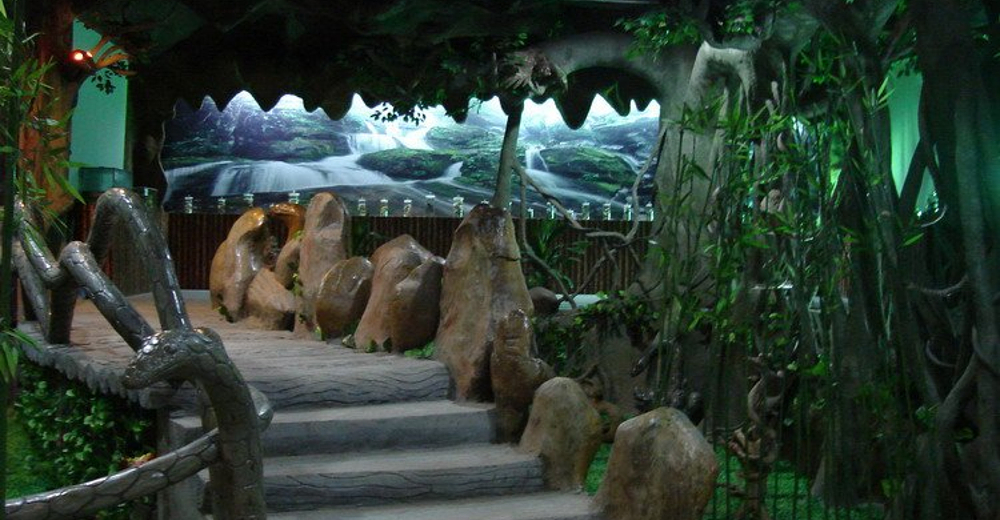 武夷山蛇博园成人票