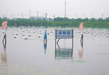 江南采珠游第 2 张图片