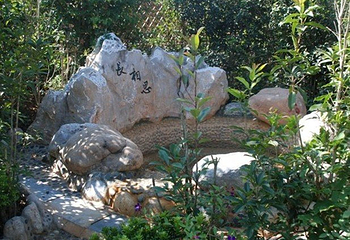 星河温泉SPA第 10 张图片