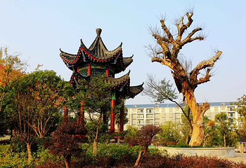 盘王殿第 5 张图片