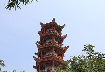 蔡伦竹海第 14 张图片