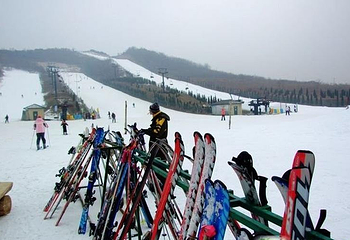 欢乐雪世界第 8 张图片