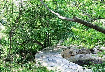 大连安波新乐园温泉第 2 张图片