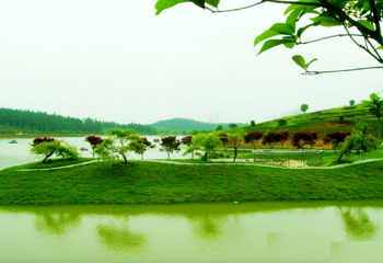 林芳生态旅游村第 3 张图片