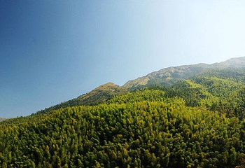 万时山第 1 张图片