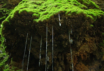 会泽雨碌大地缝第 5 张图片