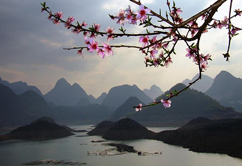 桃花湖第 4 张图片