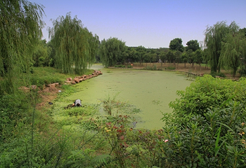 梁鸿湿地公园第 7 张图片