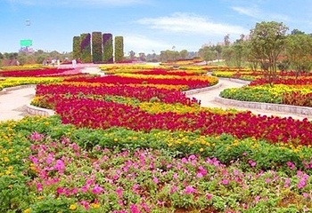 林芳生态旅游村第 2 张图片