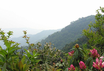 磨盘山国家森林公园第 36 张图片